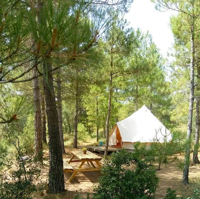 Forest Days Navés